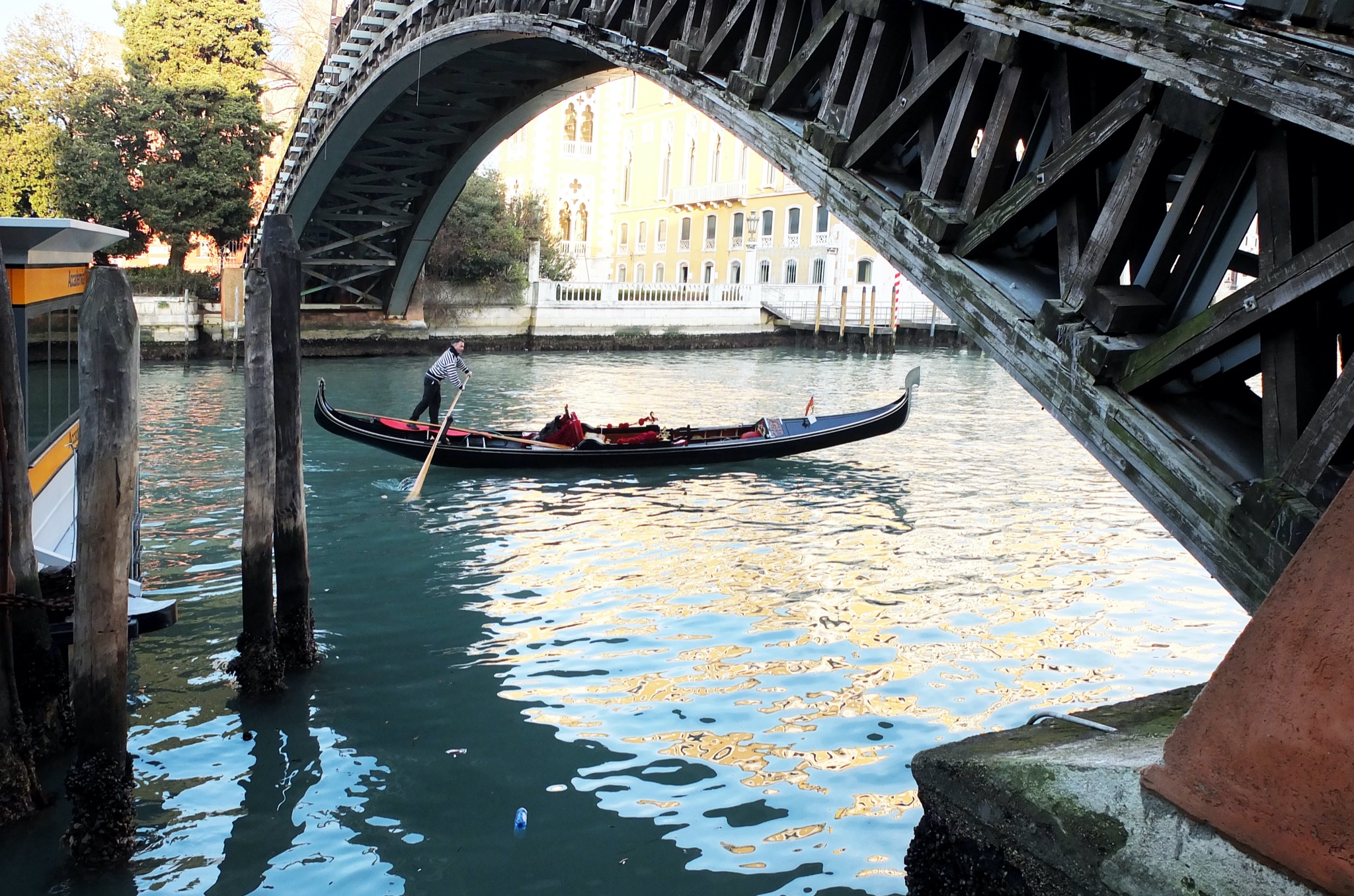 Gondolier 2014